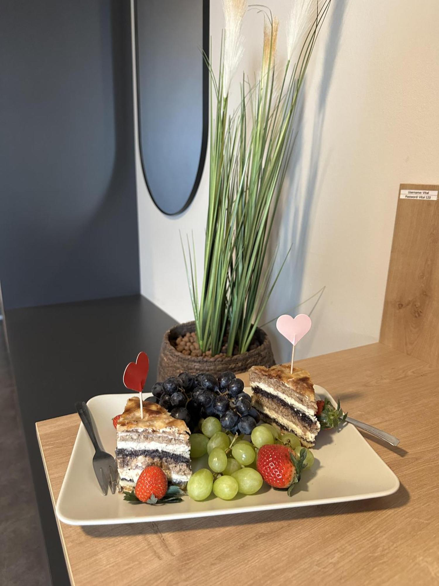 Boutique & Wellness Hotel Vital Moravske Toplice Luaran gambar